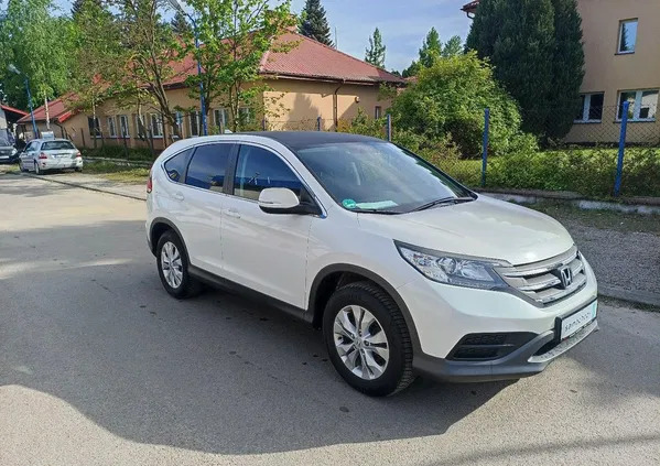 zgorzelec Honda CR-V cena 60900 przebieg: 110528, rok produkcji 2014 z Zgorzelec